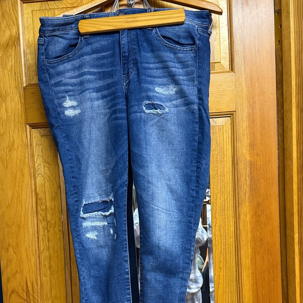 American Eagle Outfitters Blue Distressed Skinny Jeans